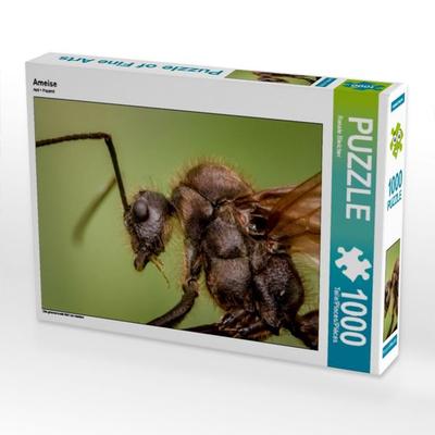 CALVENDO Puzzle Ameise | 1000 Teile Lege-Größe 64x48cm Foto-Puzzle für glückliche Stunden