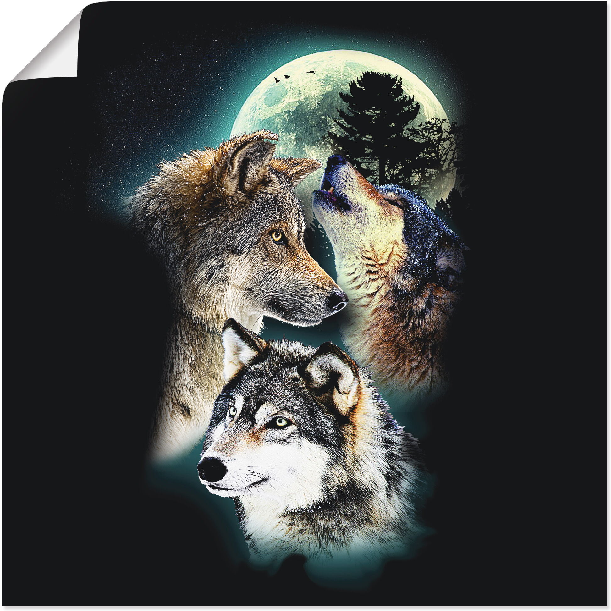 Poster ARTLAND "Phantasie Wolf Wölfe mit Mond", schwarz (farbe bild(er): schwarz), B:30cm H:30cm, Bilder, Poster, ohne Rahmen farbe bild(er): schwarz B/H/T: 30cm x 30cm, Poster Wildtiere quadratisch, 1 Stk.