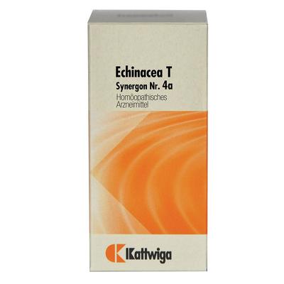 Synergon Komplex 4a Echinacea T Tabletten 100 St