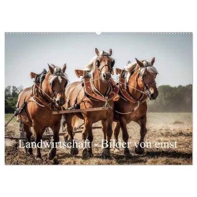 Landwirtschaft - Bilder von einst (Wandkalender 2027 DIN A2 quer), CALVENDO Monatskalender