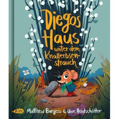 Diegos Haus unter dem Knallerbsenstrauch, Gebundene Ausgabe von Matthew Burgess,Uwe Heidschötter, Kibitz Verlag, 978-3-948690-18-2