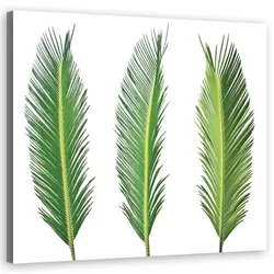 WANDBILD blumen grün