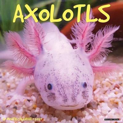 Axolotls 2027 12 X 12 Wall Calendar