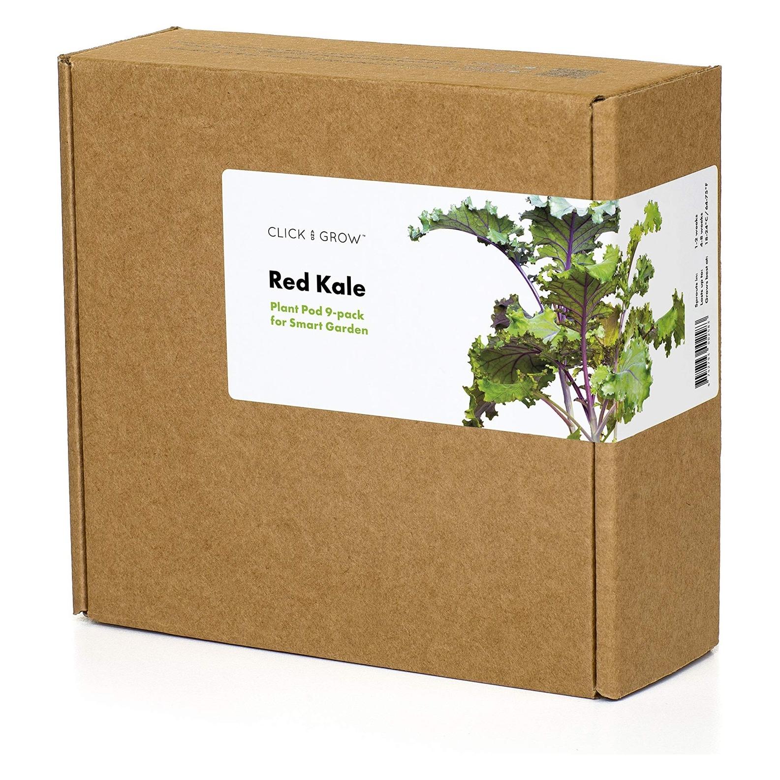 Click and Grow Red Kale (Gemüsesamen) (70677565)