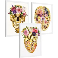 POSTER Set aus 3 Anatomie Mensch Drucke und Wandbilder mit Schädel Gehirn und Herz Goldene Florale Künstlerische Illustration Größe Weißer Rahmen A3