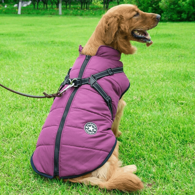 PetsAreLife Dog Coat With Zipper On Back Purple S