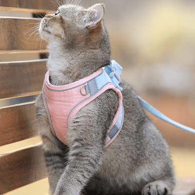 PetsAreLife Luminous Cat Vest Pink 2XL