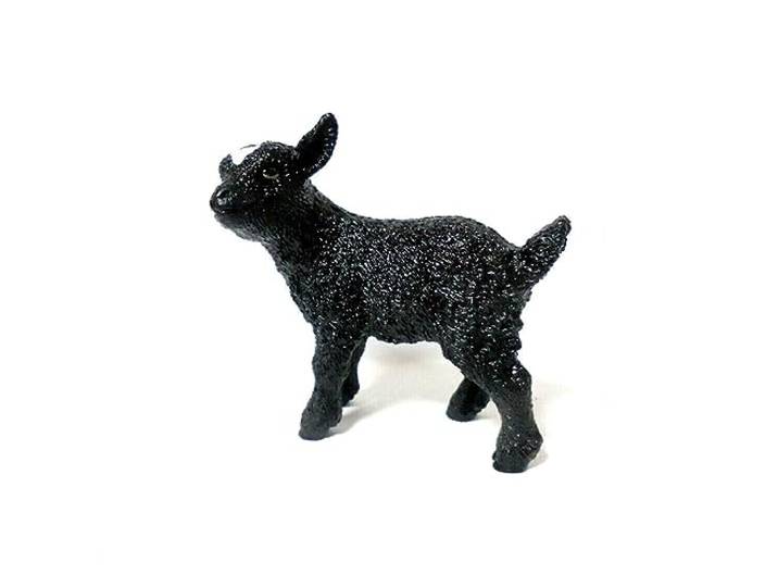 SCHLEICH- Tiere Figura de Juguete, Multicolor, Small (17087)