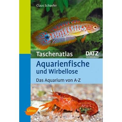 Aquarienfische und Wirbellose, Taschenbuch von Claus Schaefer, Verlag Eugen Ulmer, 978-3-8001-6711-1