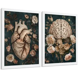 POSTER Set aus 2 Anatomie Mensch Drucke und Wandbilder mit Herz und Gehirn Elegante Florale Illustration Grüner Hintergrund Größe Weißer Rahmen A4