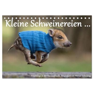 Kleine Schweinereien (Tischkalender 2027 DIN A5 quer), CALVENDO Monatskalender