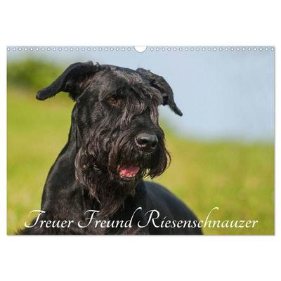 Treuer Freund Riesenschnauzer (Wandkalender 2027 DIN A3 quer), CALVENDO Monatskalender