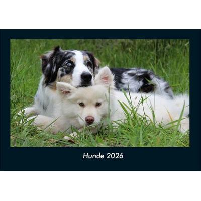 Hunde 2026 Fotokalender DIN A4