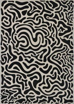 Dream Decor Rugs Juniper Pathway Black-White Indoor Outdoor Area Rug