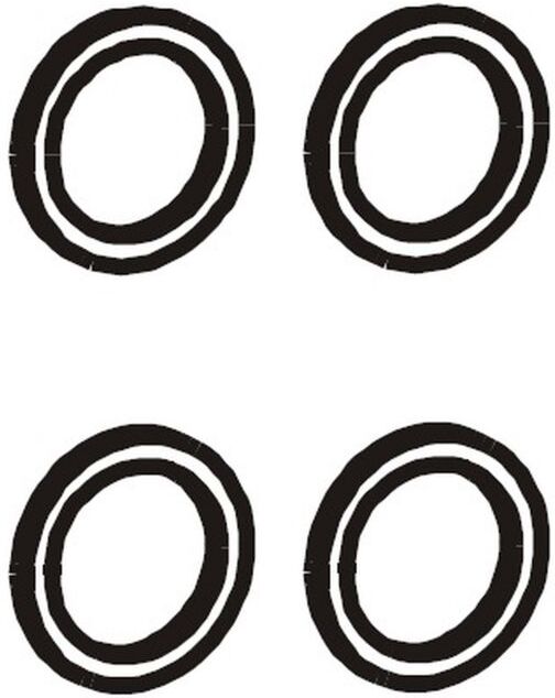 Grünbeck O-Ringsatz DN 22, DN 25, 4 Stück 187608e für flexible Anschlussschläuche