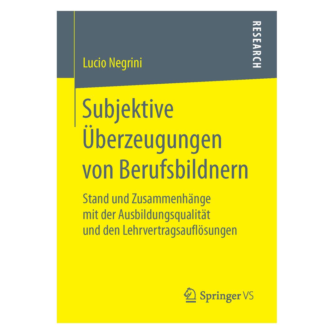 Springer Subjektive Überzeugungen von Berufsbildnern (Deutsch, Softcover, Lucio Negrini) (8872771)