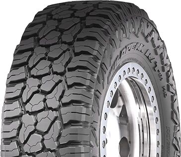 Falken Wildpeak R/t Rt01 265/70 R17 121Q Sommerreifen