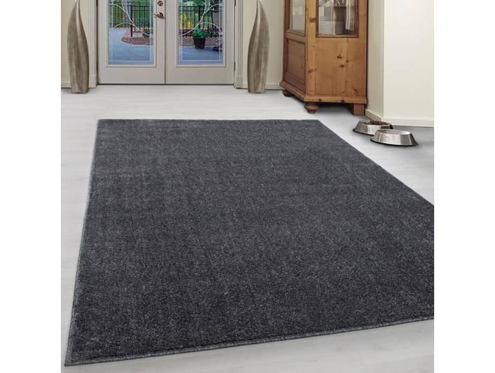 Tapis court fleuri moderne salon monochrome fond Uni pas cher gris [160x230 cm]
