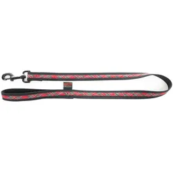 Martin Sellier Benton (Hund, Spazieren), Halsband + Leine