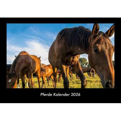 Pferde Kalender 2026 Fotokalender DIN A3