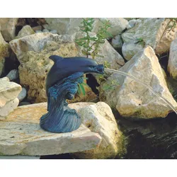 Ubbink Wasserspeier Delfin