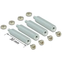 Delock Montagezubehör für Raspberry Pi 30 mm