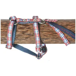 Image Dog Save (M), Halsband + Leine