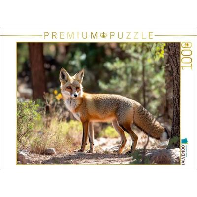 CALVENDO Puzzle Fuchs - Aufmerksam durch den Wald | 1000 Teile Lege-Größe 64x48cm Foto-Puzzle für glückliche Stunden, von , Calvendo Puzzle