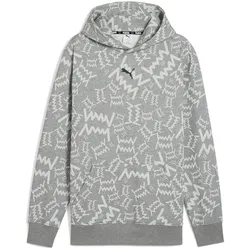 PUMA teamJAWS Post Game Hoodie Herren 03 - medium gray heather M