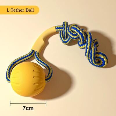 Uplifted Finds EVA Dog Toy Set 4 Pack Flying Disc Ball Tug Rope Chew Proof Teeth Cleaning Set l Tether Ball
