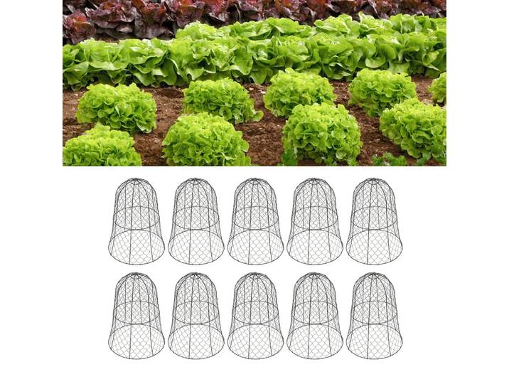 10 paquets de cloches de protection pour plantes en grillage métallique noir pour jardin, construction épaissie