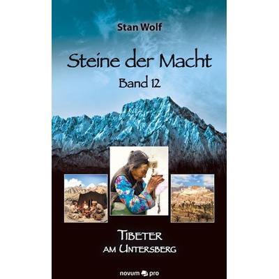 Steine der Macht – Band 12, Gebundene Ausgabe von Stan Wolf, Novum Verlag, 978-3-99107-406-9