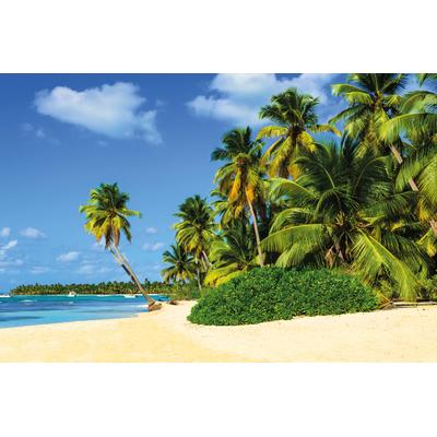 Fototapete PAPERMOON "Exotic Palm Beach", bunt, B:2m L:1,49m, Vlies, Tapeten