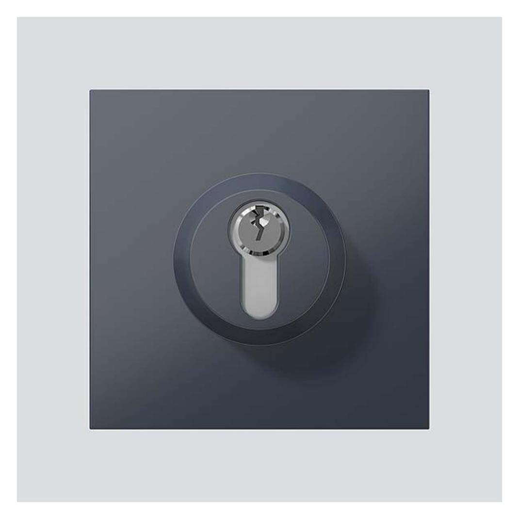 Siedle Schloss-Modul SM 611-01 AG anthrazitgrau (210004992-00)