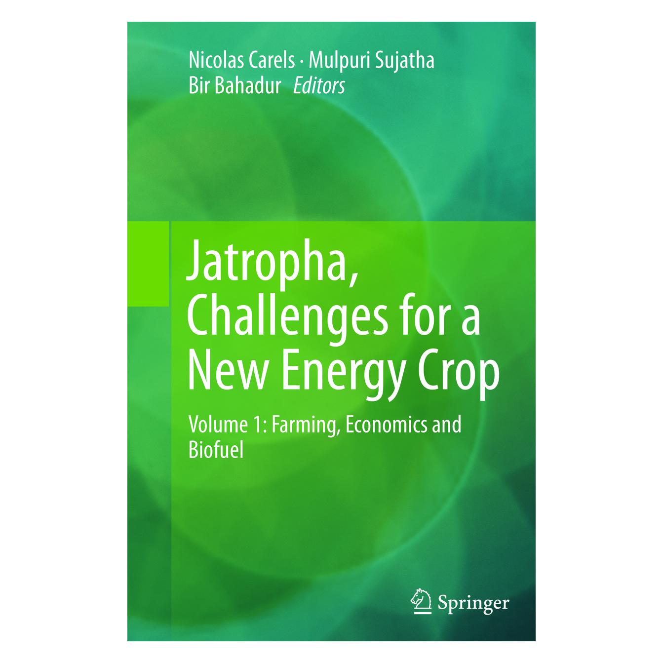 Springer Jatropha, Challenges for a New Energy Crop (Englisch, Softcover, Bir Bahadur, Mulpuri Sujatha, Nicolas Carels) (55591858)