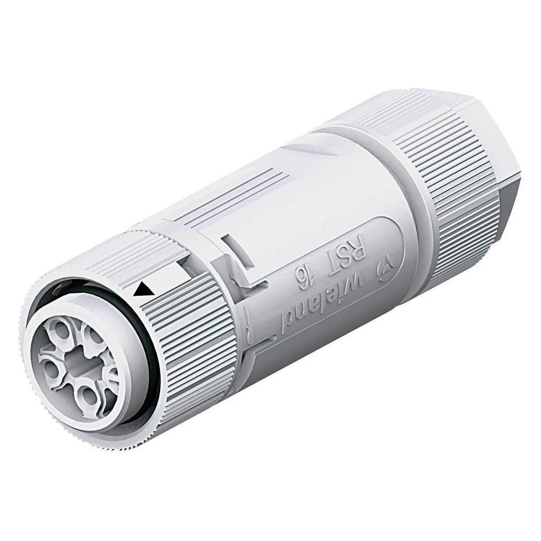 Wieland RST MINI Kabeldose RSTI164/5 (46.051.4554.0)