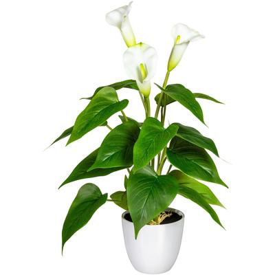 Kunstpflanze OTTO HOME "Lesum", weiß, B:20cm H:44cm, Kunststoff, Kunstpflanzen, Kunstpflanze, im Topf