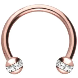 Chirurgenstahl Hufeisenring EPOXY-RING-KUGELN