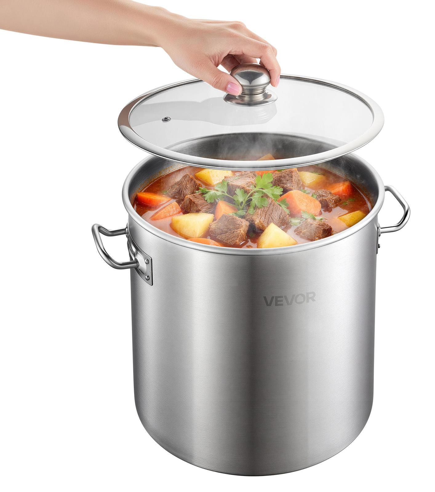 Vevor Roestvrijstalen Soeppan met Glazen Deksel, 19,9 liter, Zilver