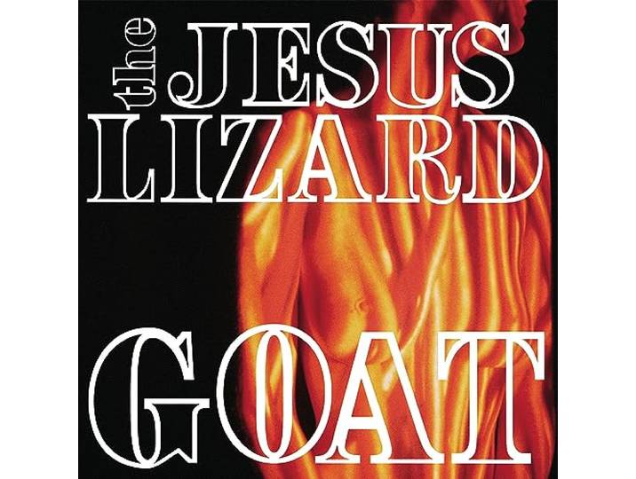 Goat (White)