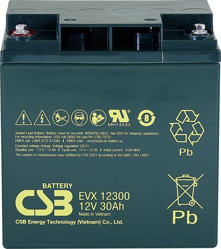 CSB Battery EVX 12300 EVX12300 Bleiakku 12V 30Ah Blei-Vlies (AGM) (B x H x T) 166 x 175 x 125mm M5-Schraubanschluss Zyklenfest