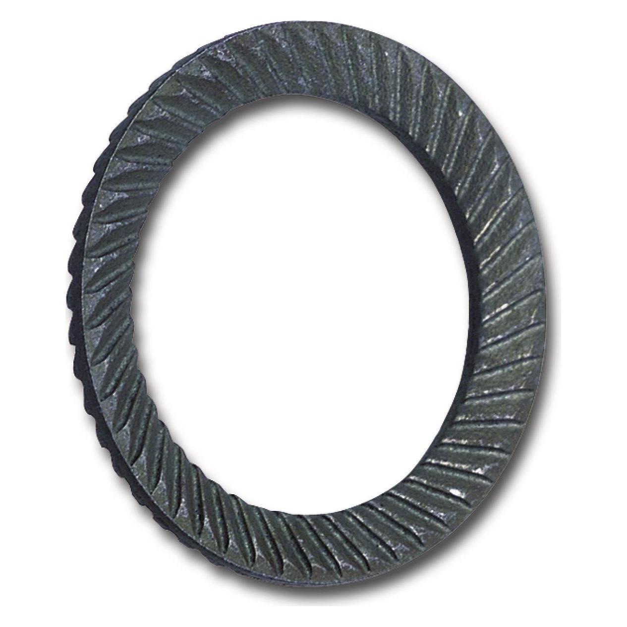Schnorr Sperrzahnscheibe R 88120 beidseitig gezahnt S16 x24 x1,3 Federstahl (881200040160000)