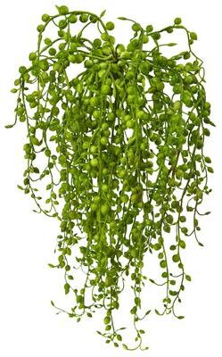 Nearly Natural Senecio Artificial Succulent (Set of 3)