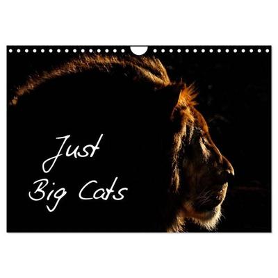 Just Big Cats (Wall Calendar 2026 DIN A4 landscape), CALVENDO 12 Month Wall Calendar