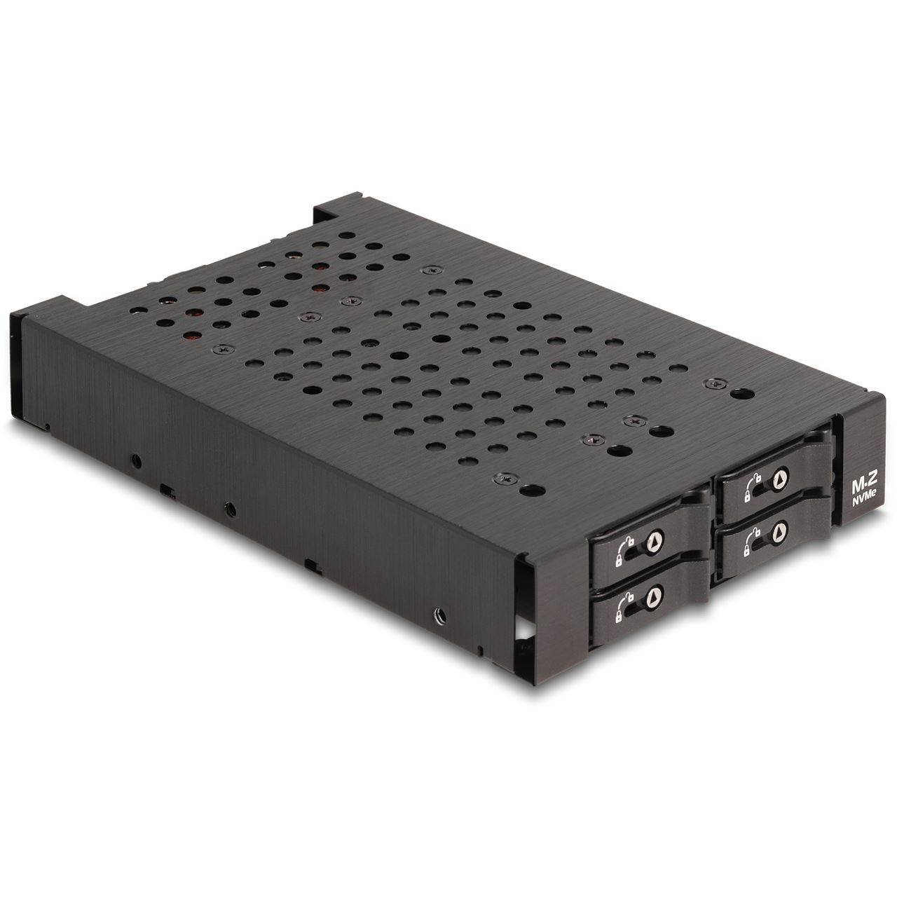 DeLOCK Wechselrahmen 3.5 für 4 x M.2 NVMe SSD