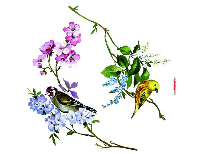 Komar Dekosticker, Mehrfarbig, Kunststoff, 5-teilig, Tiere, Tierform, 31x31 cm, selbstklebend, einfache und schnelle Anbringung, Tapeten & Wandverkleidungen, Wandtattoos & Sticker, Wandsticker