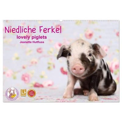 Niedliche Ferkel lovely piglets 2026 (Wandkalender 2026 DIN A2 quer), CALVENDO Monatskalender