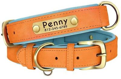 Uplifted Finds Customized Padded PU Leather Nameplate Collar orange xl