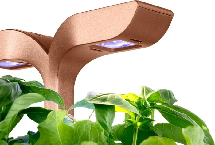Exky Smart Automatik-Blumentopf mit Lichtsteuerung, schwarz Kupfer + 2 Kräuternachfüllungen
