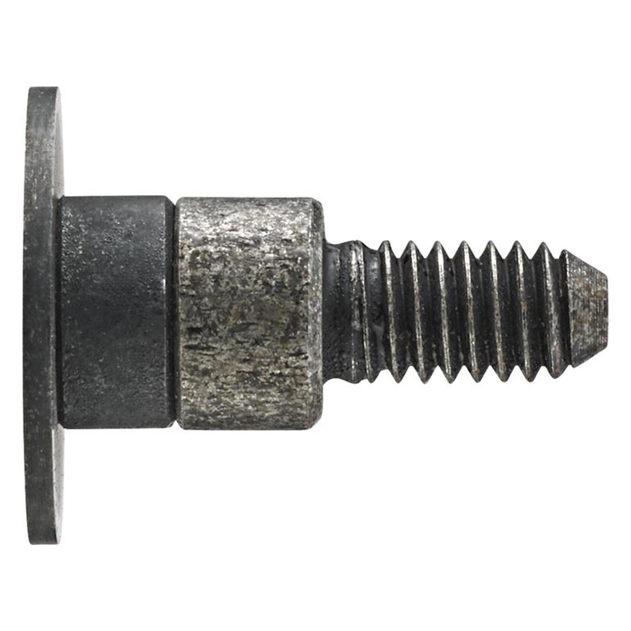 Magni Messeinsatz Stahl Teller 7,8x0,5mm KÄFER (4031452624014)
